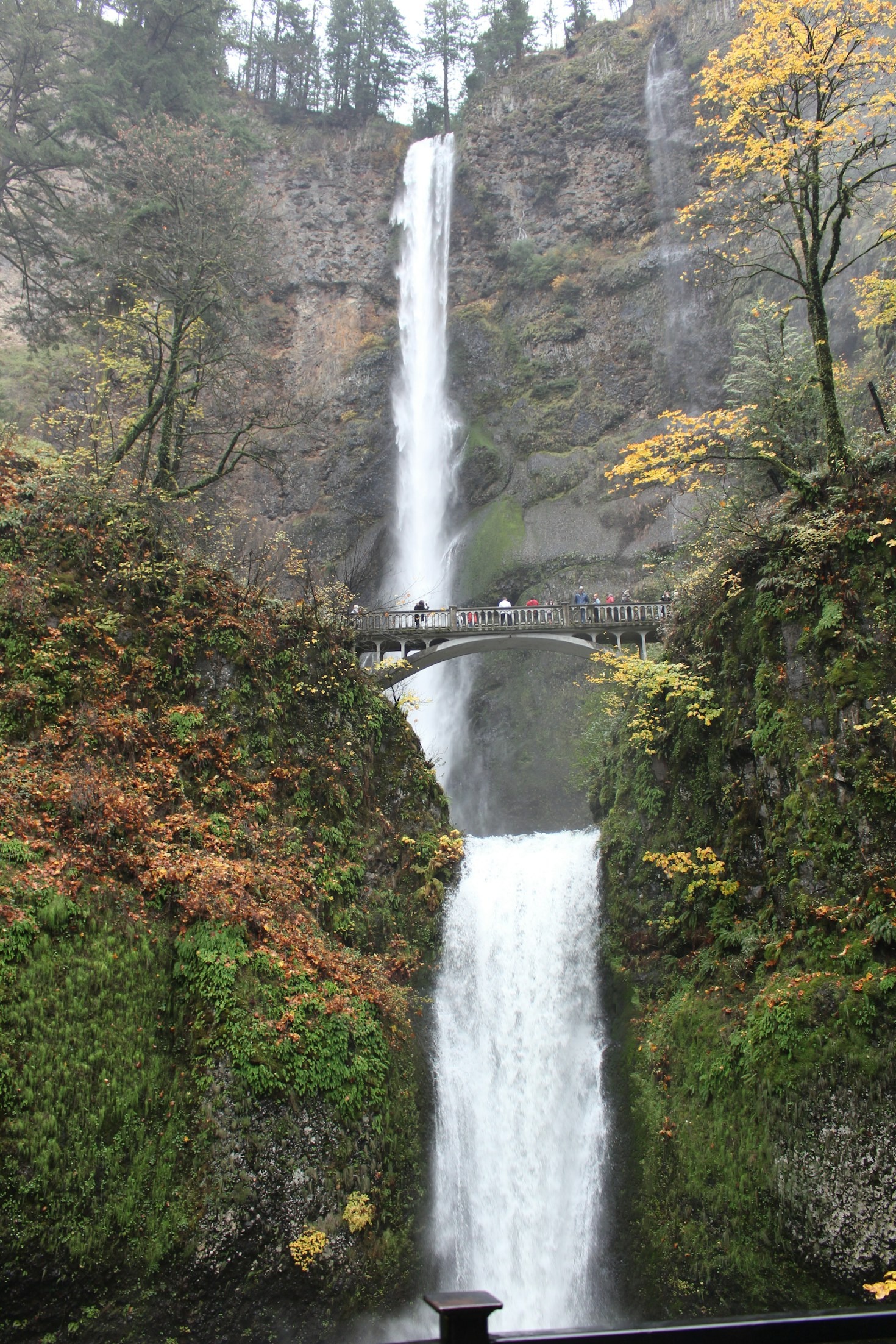 My Day at Multnomah Falls: A Photo Diary
